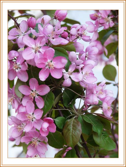   訪沈陽（yáng）市養老院