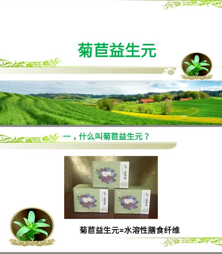 水溶性膳食纖維——菊苣益生元