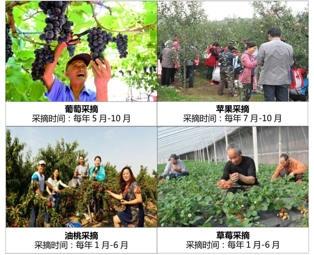 醉美山海林湖泉 養生度（dù）假親和源 遼（liáo）寧親和源溫泉養（yǎng）老產業園