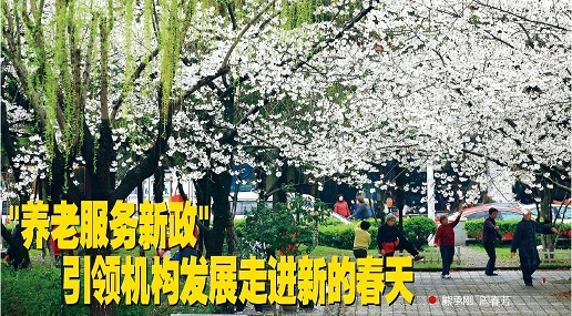 “養老服務新政”引領機構（gòu）發展走進新的春天