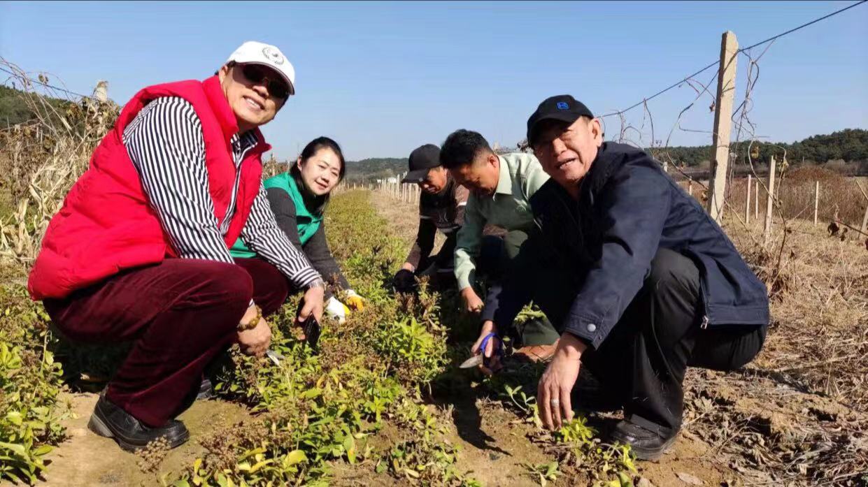 鞏（gǒng）固脫貧成果 促進鄉村振興創新路