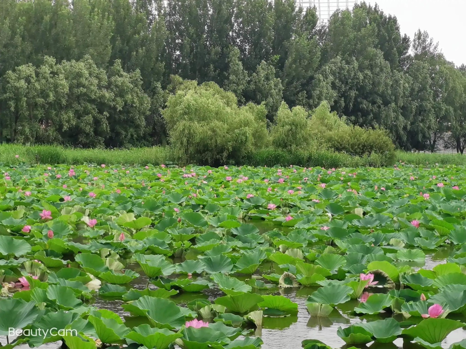 “奉天記憶”深耕（gēng）文旅產業