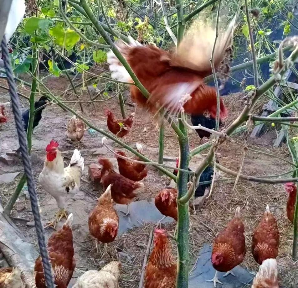 “奉天記憶”深耕（gēng）文旅產業