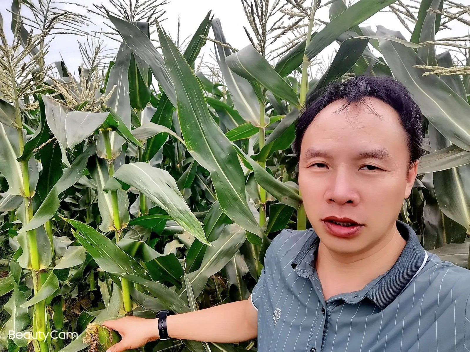 “奉天記憶”深耕文旅產業（yè）