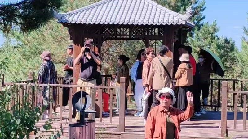 誓將大漠變林海（hǎi）,不（bú）教黃（huáng）沙再往（wǎng）南