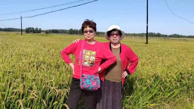 誓將大漠變林海,不教（jiāo）黃沙（shā）再往南