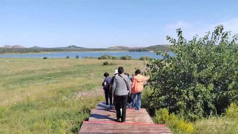 誓將大漠變林海,不教黃（huáng）沙再往南