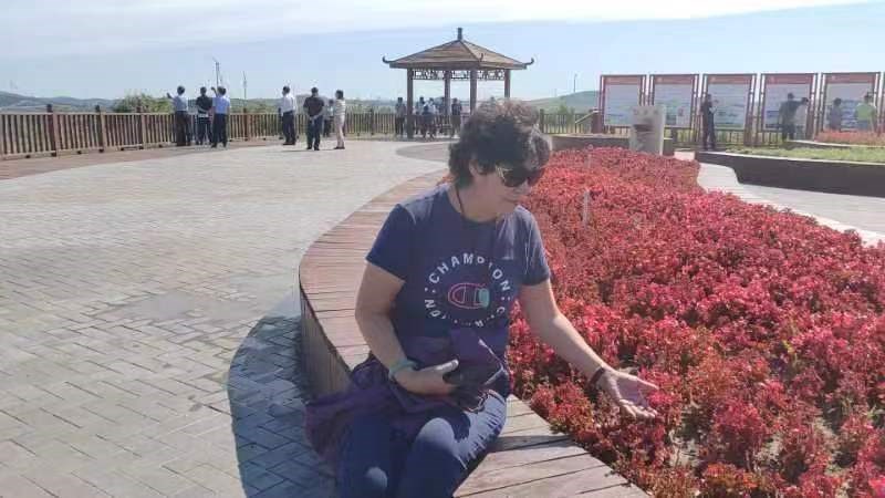 誓將大漠變林海,不教黃沙（shā）再往南（nán）