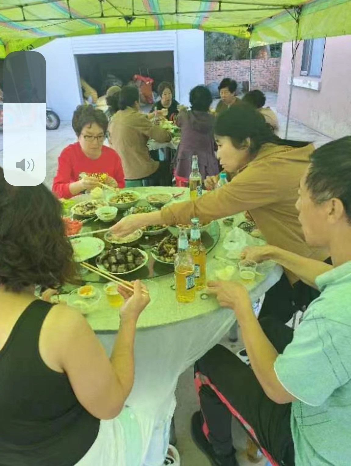 誓將大漠變林海,不教黃沙（shā）再往南（nán）