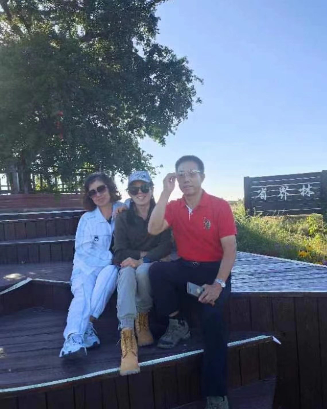 誓將大漠變林海,不（bú）教黃沙再往南